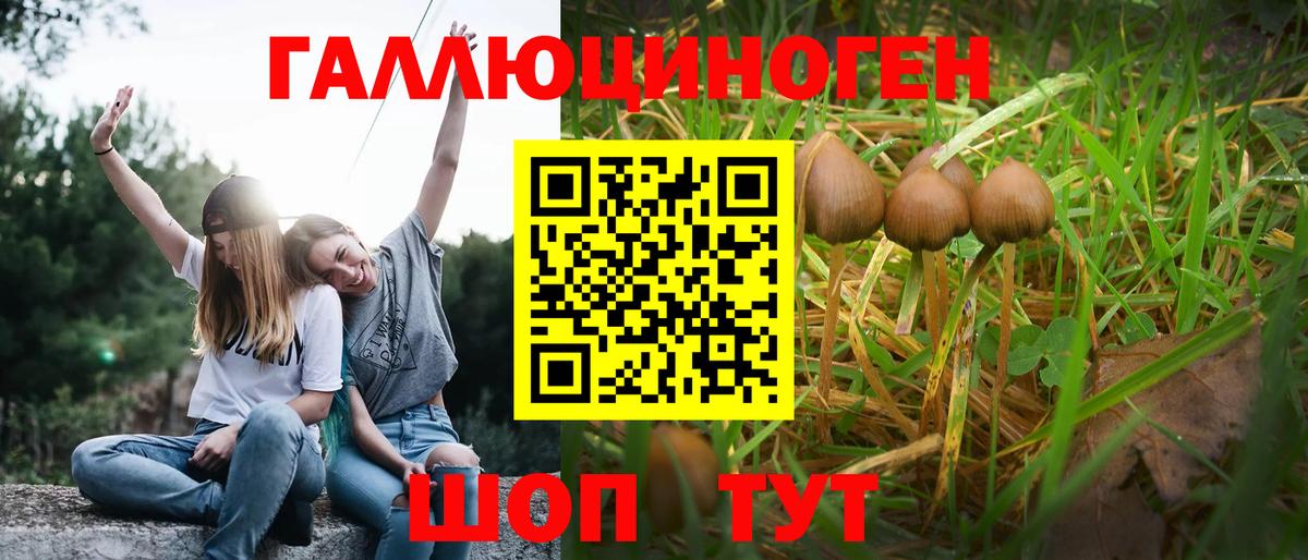 Галлюциногенные грибы Psilocybe  закладка  Междуреченск  Вход с VPN 