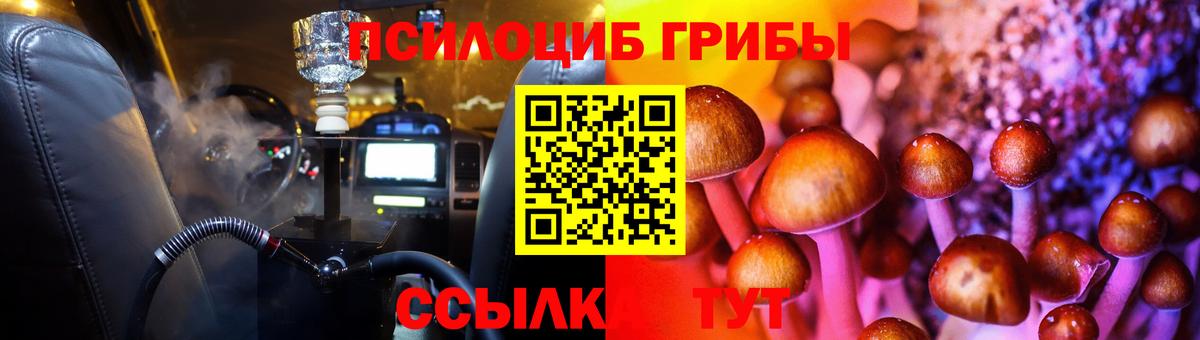 Галлюциногенные грибы Cubensis Междуреченск